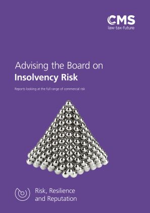 1906-0096840 (V14) BROC Advising the Board Report on Insolvency Risk report.jpg