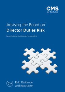 2207-0161265 (V14) BROC - Advising the Board  - Directors risk report.jpg