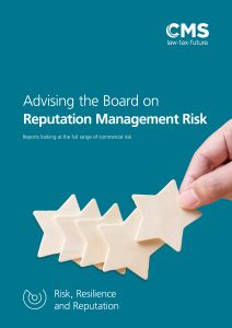 2101-0139534 FLYR (v8) Advising the Board on Reputation Management Risk.jpg