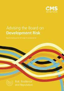 2007-0129983 (V7) Advising the Board Report on... Development Risk.jpg