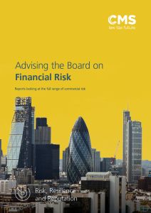 1902-0086070 (V4) BROC Advising the Board on... Financial Risk Report.jpg