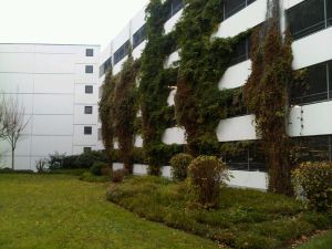 Arbeitsgericht K&ouml;ln 14